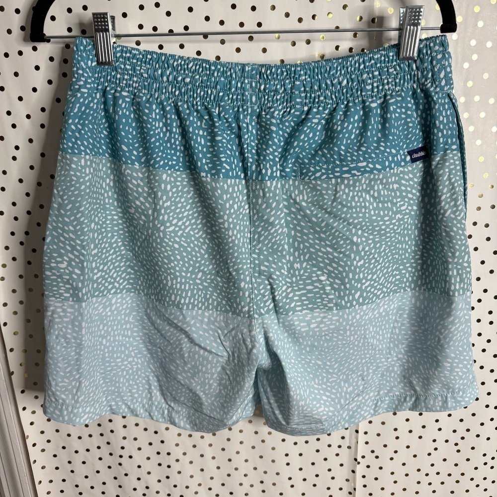 Chubbies Blue Patterned Shorts - image 7